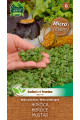 Garden Seed Mikrozelenina – Horčica 1ks