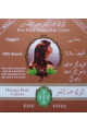 Henna medená, 100 g