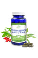 Altevita VEGAN COLLAGEN BOOSTER FORTE 60 kapsúl