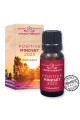 Altevita zmes esenciálnych olejov POSITIVE MINDSET 10ml