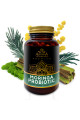 Altevita Moringa Probiotic 60 kapsúl