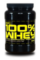 Best Nutrition 100% Whey Professional Protein čokoláda 1000g